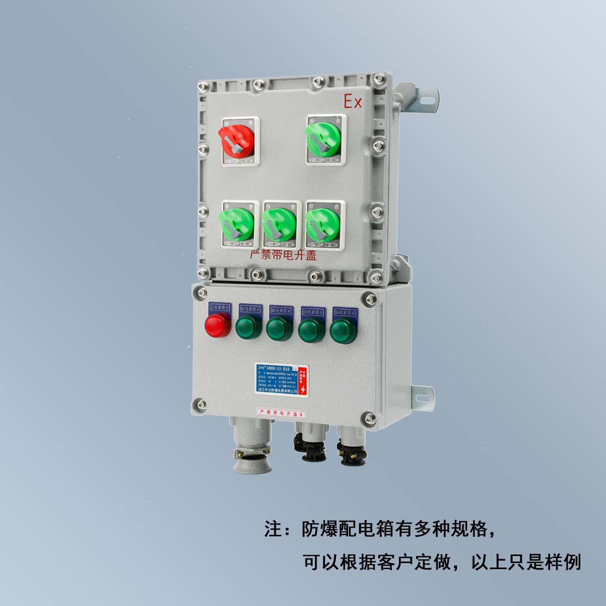 BXM(D)58 系列猫咪下载视频照明(动力)配电箱 (ⅡB、ⅡC、DIP)